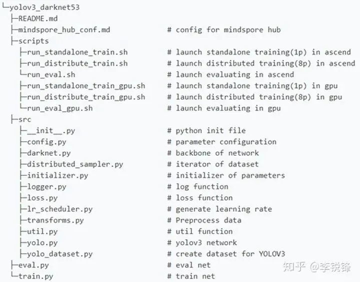 如何借助专业篮球教练提升个人声誉_0